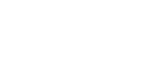 Company Logo White