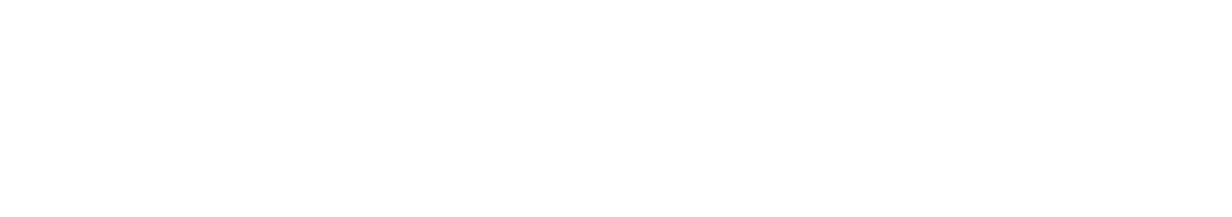 Company Logo White